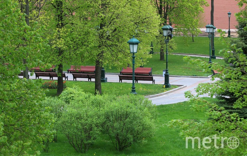 Весна в Москве. 2020 год. Фото Василий Кузьмичёнок, "Metro"