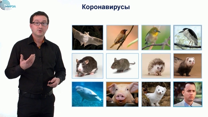 Николай Никитин. Фото Скриншот Youtube
