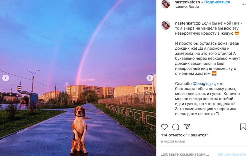 Анастасия из города Иваново увидела радугу на прогулке с биглем Питом. Фото скриншот Instagram @fire_fenix8