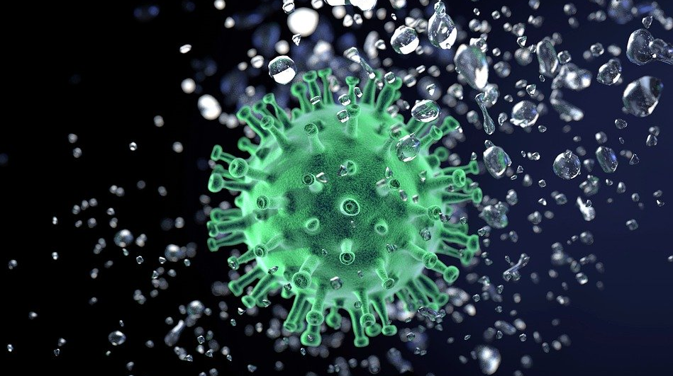 Учёные обнаружили антитело, способное полностью блокировать коронавирус. Фото pixabay.com
