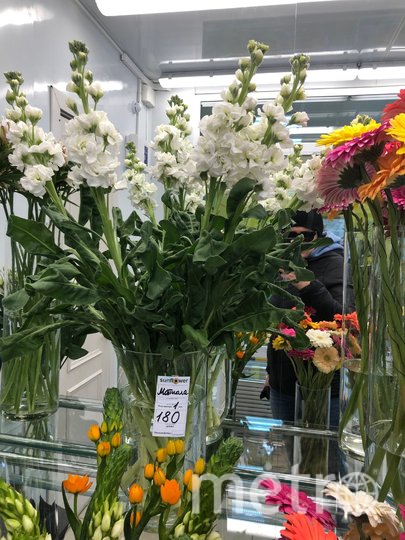 Цветы в Петербурге всё-таки можно купить – и не только онлайн. Фото Карина Тепанян, "Metro"