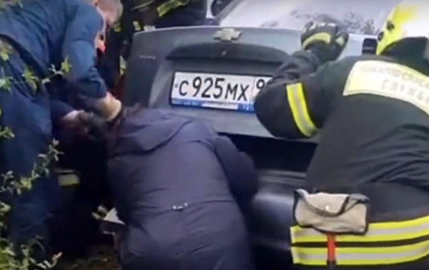 Спасатели освободили алабая из закрытого багажника легковушки. Фото Скриншот Instagram @zelenograd_news.ru