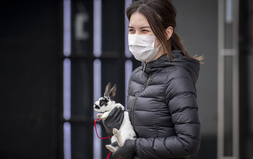 В связи с коронавирусом в Москве действует масочный и перчаточный режим. Маску и перчатки необходимо носить в общественном транспорте, а также в магазинах. Фото AFP