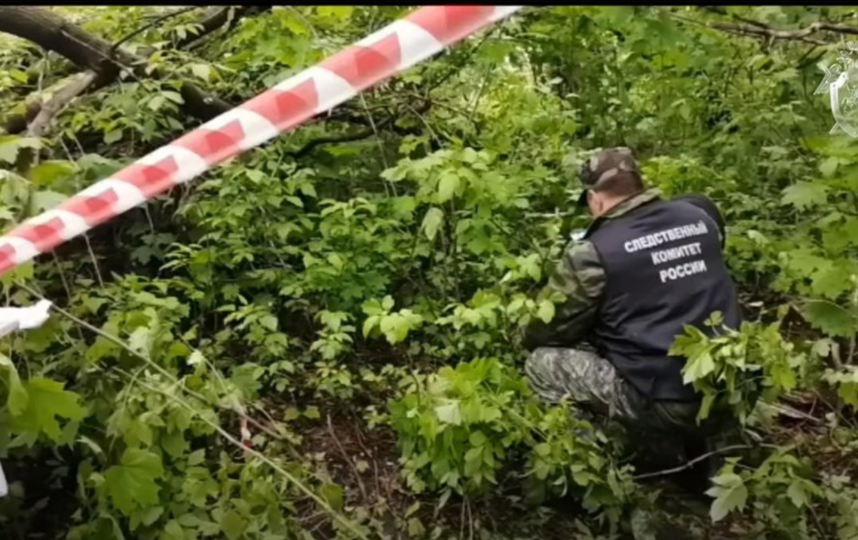 Следком показал видео из лесопарка, где было найдено тело девочки-подростка. Фото Скриншот Youtube