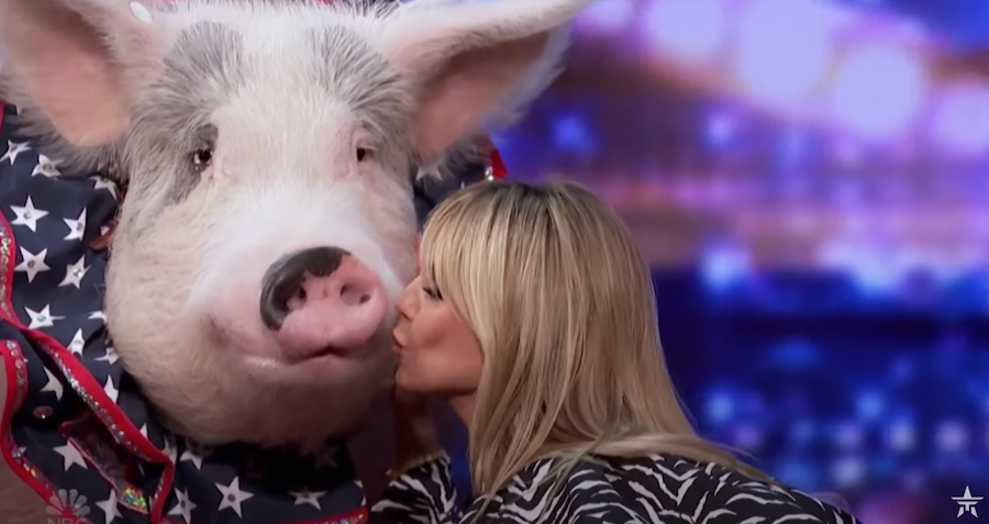 Хайди Клум целует свинью. Фото скриншот с видео, Скриншот Youtube