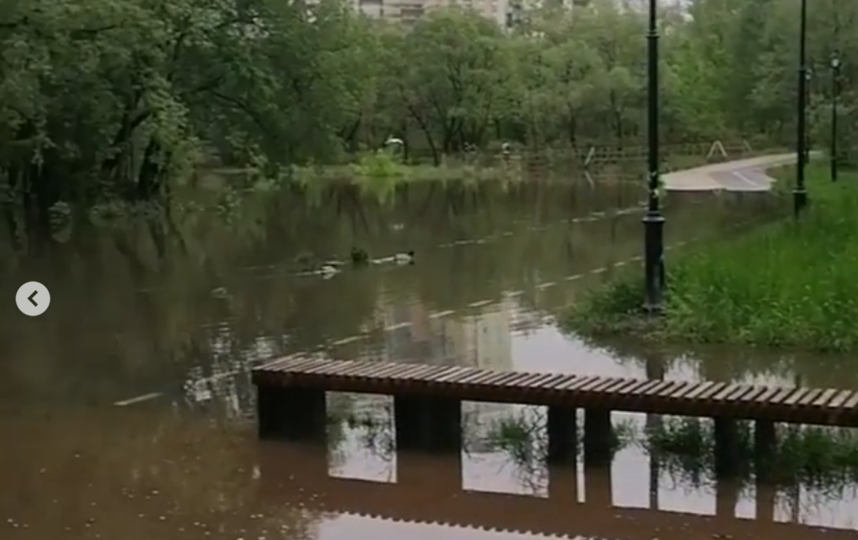 Затопило парк в Москве. Фото Instagram @shlplanetearth