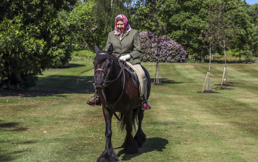 Королева Елизавета II на конной прогулке в Виндзорском замке. Фото Getty