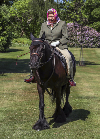 Королева Елизавета II на конной прогулке в Виндзорском замке. Фото Getty