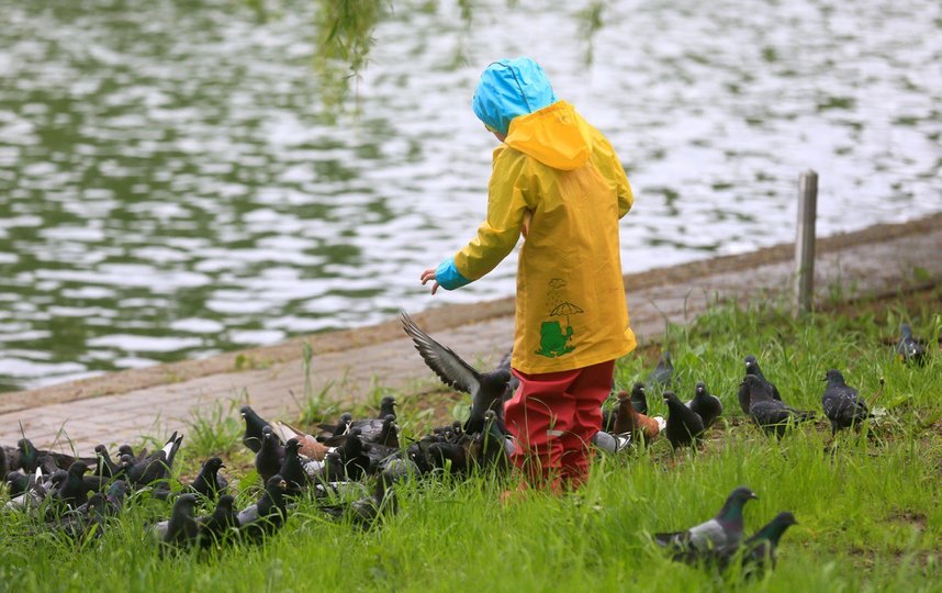 Москвичи осторожно возвращаются в парки. Фото Василий Кузьмичёнок
