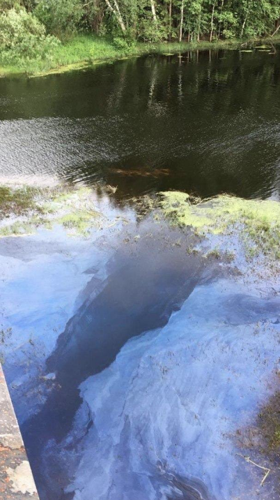 На поверхности реки в Подмосковье обнаружили восьмикилометровое пятно
