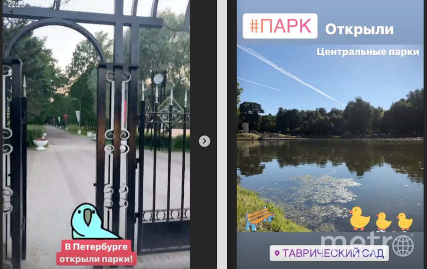 С 28 июня 2020 года для посещения открыты парки в Санкт-Петербурге. Фото Скриншот Instagram: @jacob_av и @sheeha, "Metro"