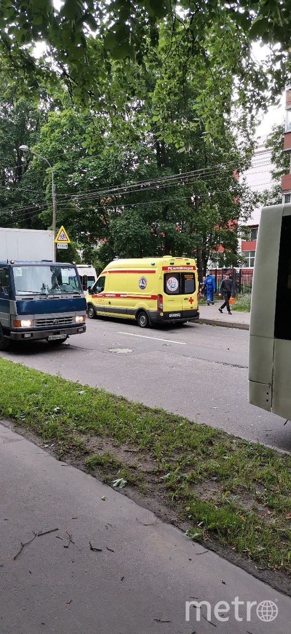 Последствия непогоды в Петербурге 30 июня. Фото ДТП/ЧП, "Metro"