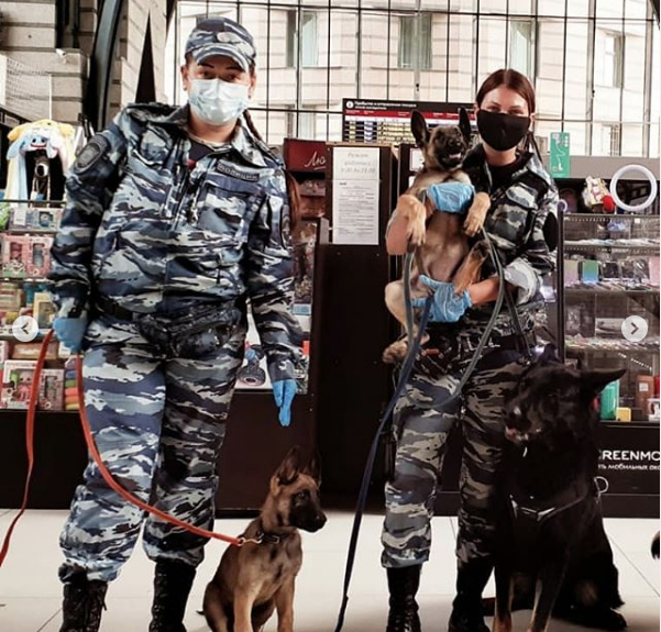 Ряды петербургских полицейских пополнились хвостатыми сотрудниками. Фото Скриншот Instagram: @spb_police, "Metro"