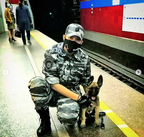 Ряды петербургских полицейских пополнились хвостатыми сотрудниками. Фото Скриншот Instagram: @spb_police, "Metro"