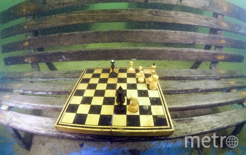 Шахматный турнир на затопленной скамейке. Фото Дмитрий Серебряков (pro DIVING CLUB), "Metro"