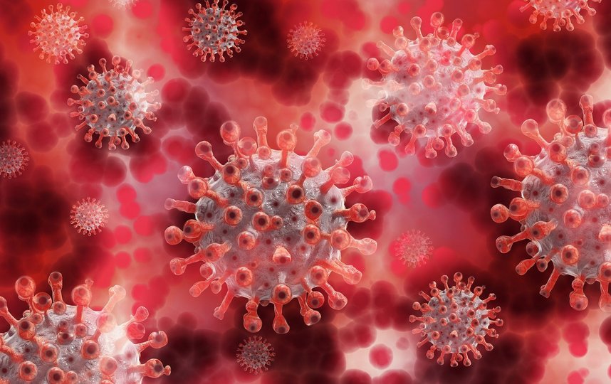 Обнаружен новый симптом коронавируса. Фото pixabay.com