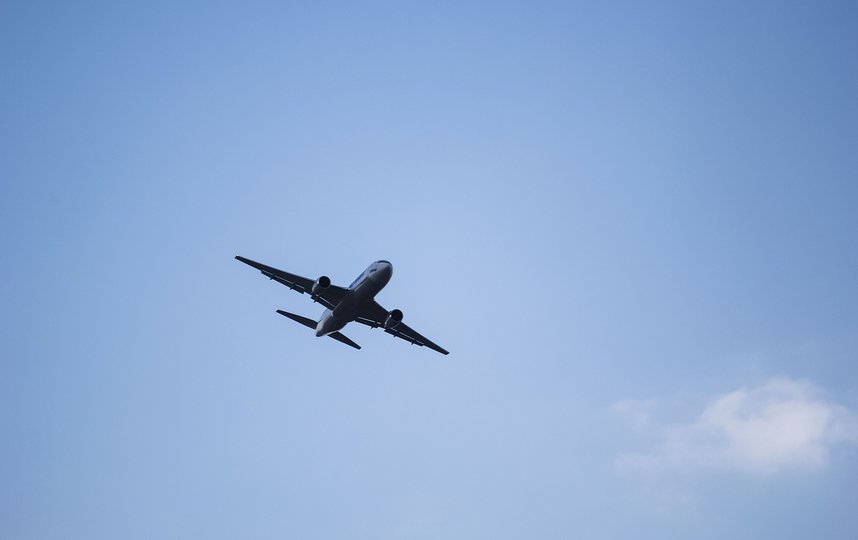 Полёты за рубеж пока не возобновлены. Фото pixabay.com