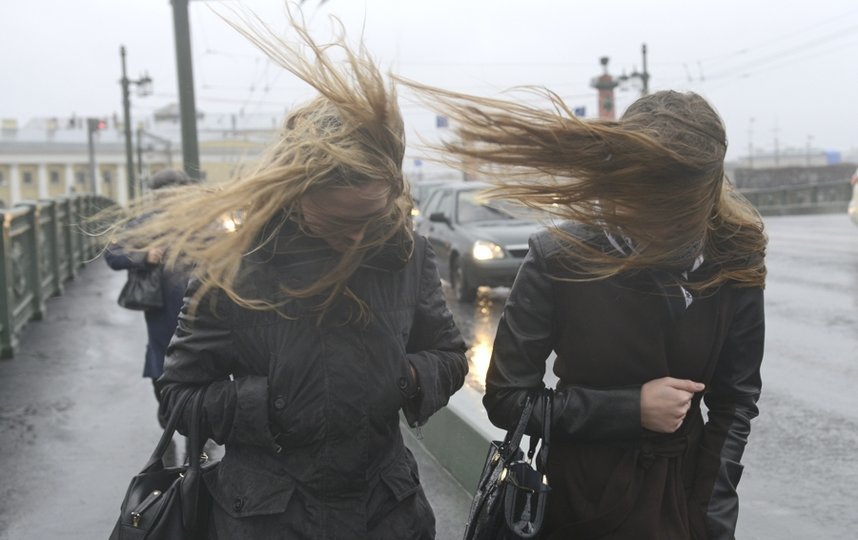 В Петербурге ожидается сильный ветер. Фото Getty., Getty