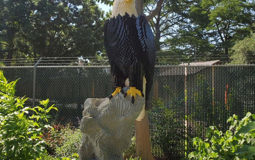 Скульптура белоголового орлана. Фото San Antonio Zoo