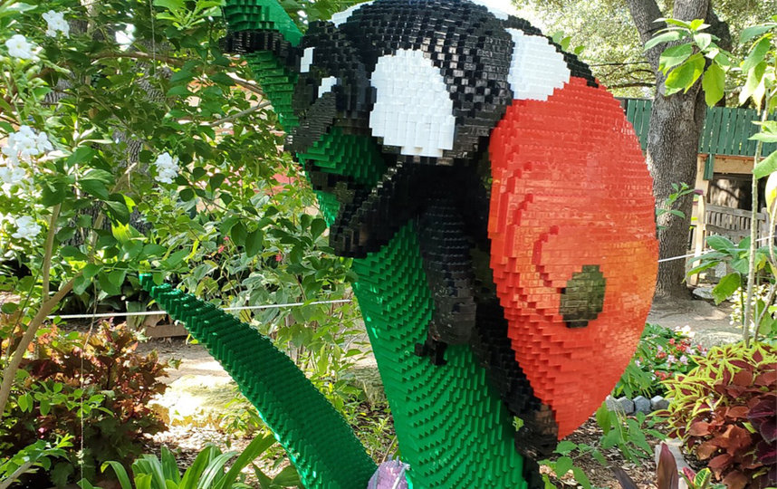       3   LEGO.  San Antonio Zoo