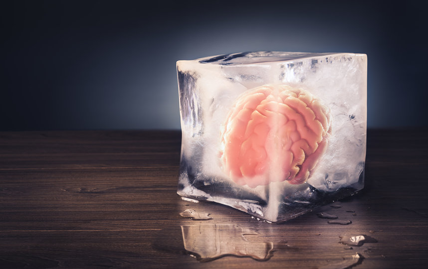 Многие учёные предупреждают, что сохранить человеческие тела и особенно мозг, замораживая их азотом, невозможно, так как он не защищает клетки от непрерывного разложения. Фото IStock