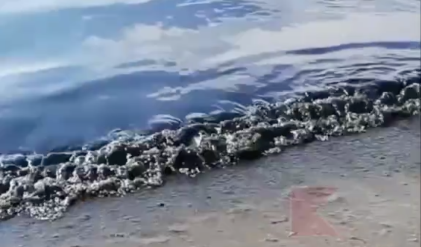 Как Чёрное море почернело. Фото скриншот видео https://vk.com/typical_krd