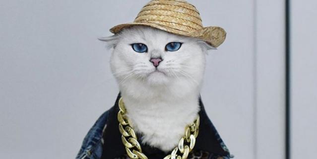 Коби. Коби.