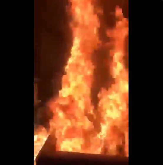 Группа людей устроила пожар на шашлыках. Фото скриншот: twitter.com/WildWildMoscow