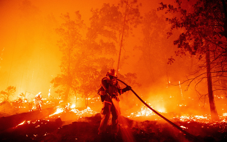 В Калифорнии уже сгорело более двух миллионов акров земли. Фото AFP