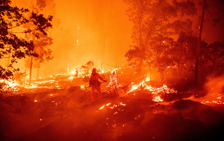 В Калифорнии уже сгорело более двух миллионов акров земли. Фото AFP