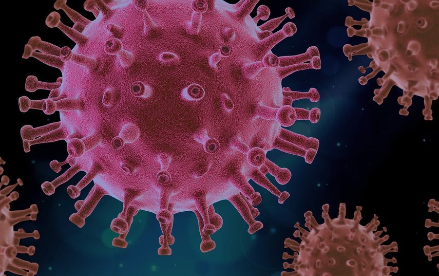 В ведомстве рассказали о 22 мутациях коронавируса. Фото Pixabay