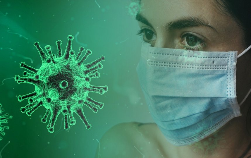 В регионах, где в последние годы зафиксировали вспышки лихорадки денге, распространение коронавируса идет менее быстрыми темпами. Фото Pixabay