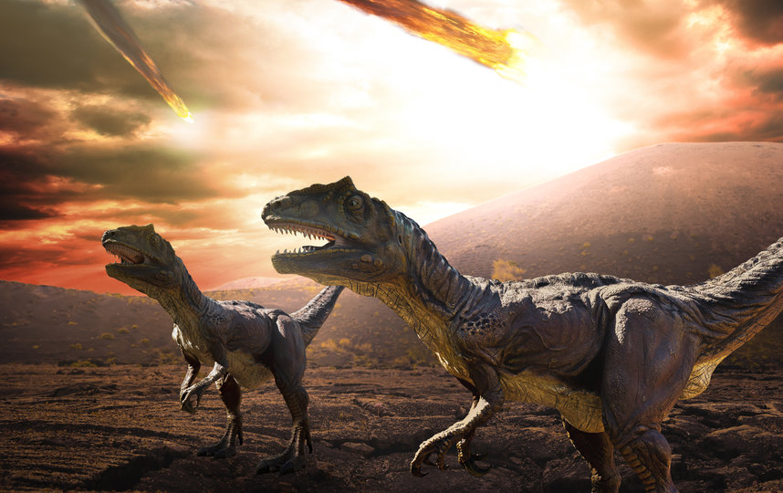 Динозавры получили свой «шанс» на размножение благодаря экологической катастрофе. Фото iStock
