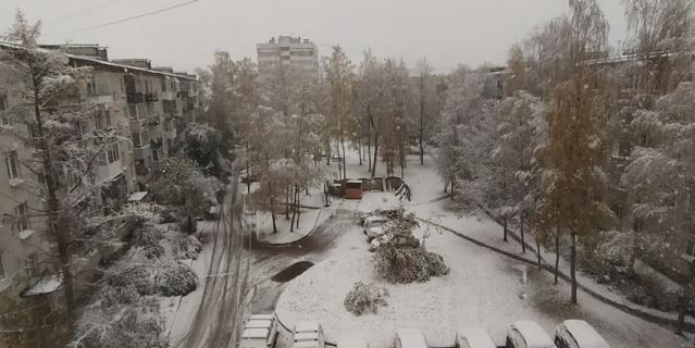 Снег в Петергофе 19 октября 2020 года.