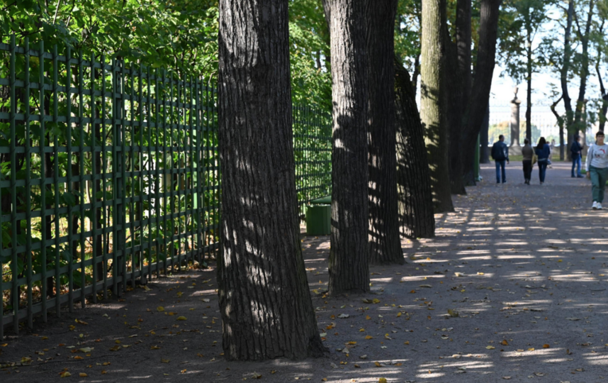 Ширина дорожек в Летнем саду позволяет сохранять пресловутую социальную дистанцию. На входе есть маски. Фото Святослав Акимов, "Metro"