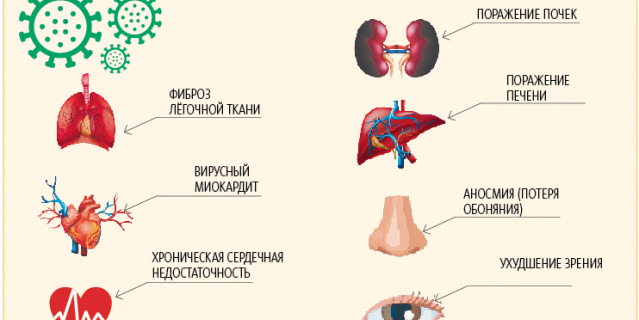 Инфографика. Инфографика.