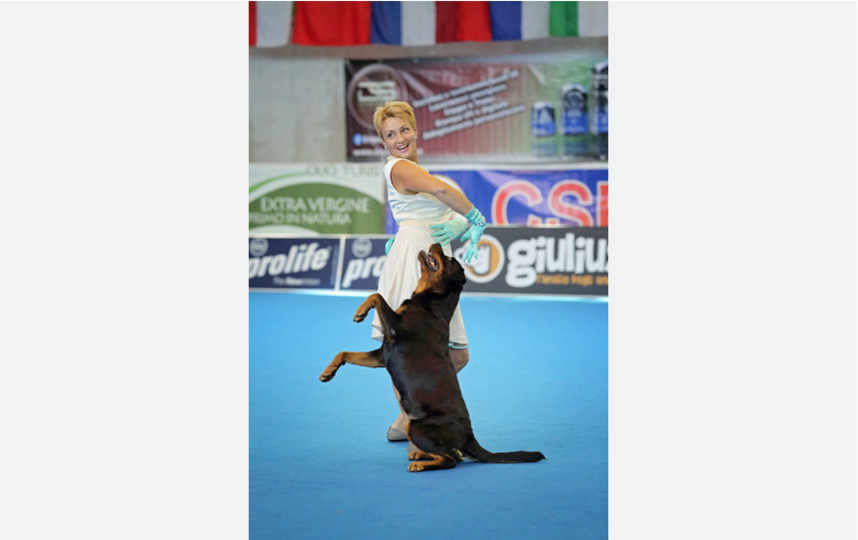 Весь мир увидит, как россияне танцуют со своими собаками   