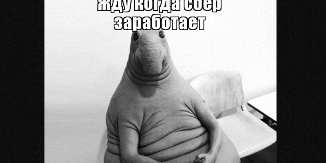 Мемчик. Мемчик.