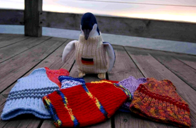 Птенцы своим ярким гардеробом, кажется, довольны. Фото предоставлены фондом по защите пингвинов в Австралии