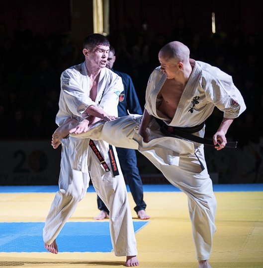 Вице-чемпион мира по карате шинкиокушинкай из Казахстана – Чех Виталий. 