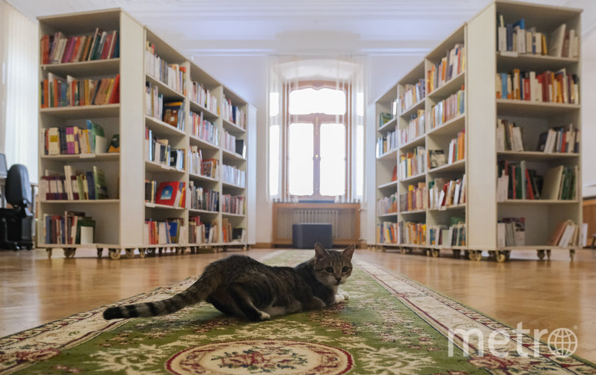 Муся любит готические романы и детскую литературу на иностранных языках. Фото Алена Бобрович, "Metro"