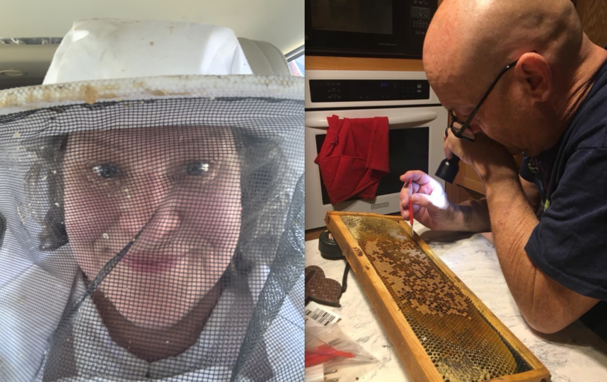 Мишель и Мэтт считают пчёл "очаровательными созданиями". Фото tiktok: @honeybeeboerst