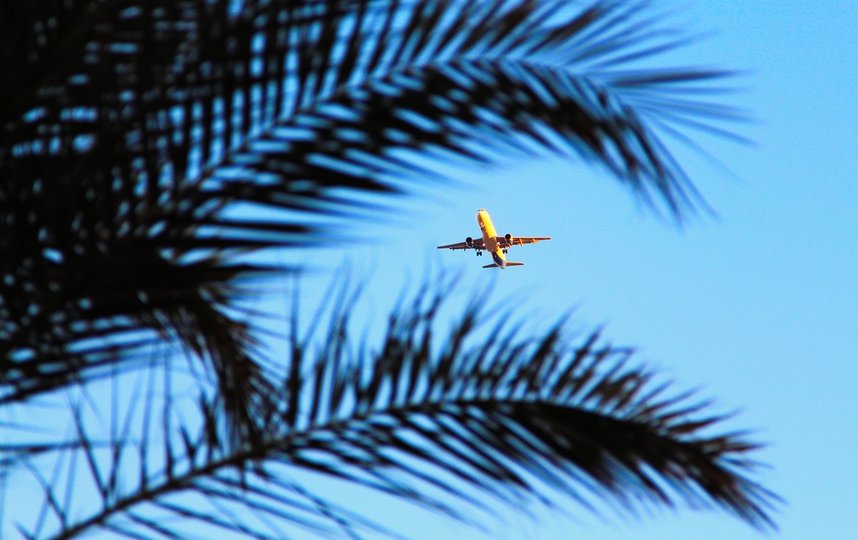 До сих пор остается закрытым чартерное авиасообщение с египетскими курортными зонами. Фото pixabay.com