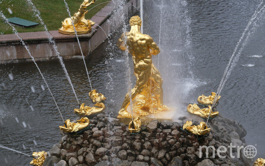 В Петергофе торжественно запустили фонтаны. Фото Святослав Акимов., "Metro"