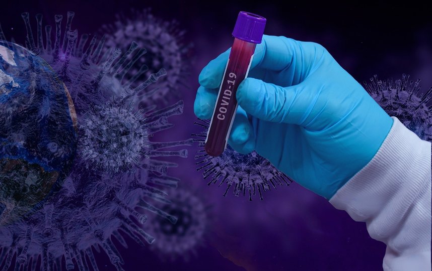 В Петербурге начали тестировать на клеточный иммунитет к COVID-19. Фото pixabay.