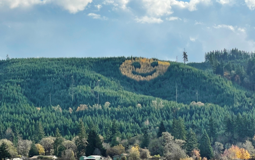 Гигантский сюрприз: орегонский смайлик превышает 91 метр в диаметре. Фото Metro World News