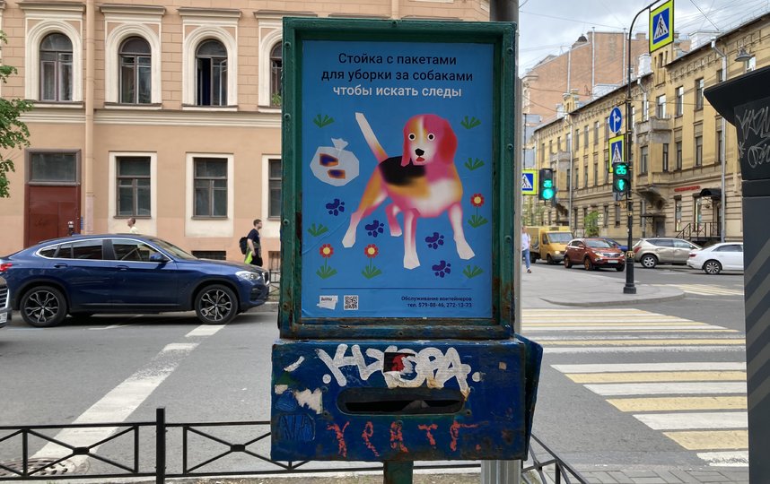 стойка с дог пакетами какие варианты. . стойка с дог пакетами какие варианты фото. стойка с дог пакетами какие варианты-. картинка стойка с дог пакетами какие варианты. картинка