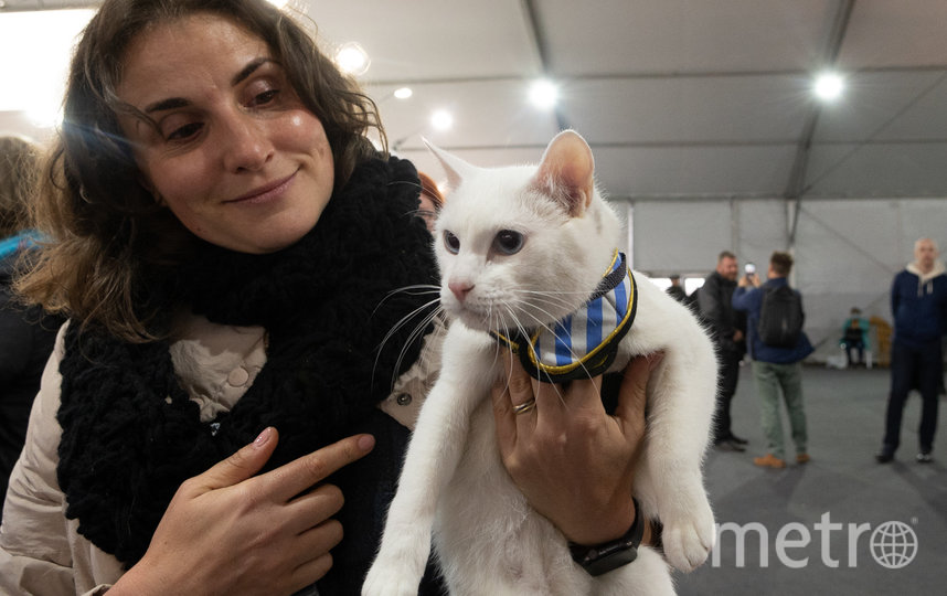 В день открытия, 26 мая, гостем стал знаменитый эрмитажный кот Ахилл. Фото Святослав Акимов., "Metro"