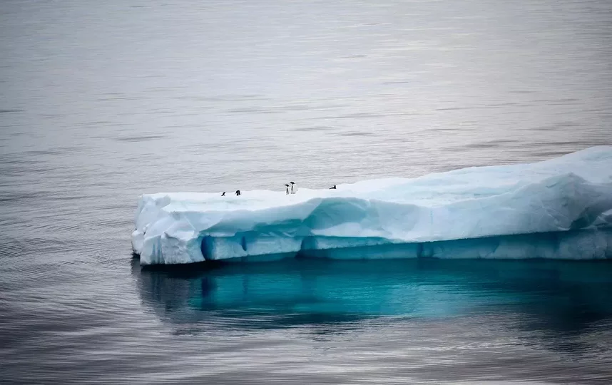 Толщина морского льда определяется путем измерения высоты льда над водой. Фото pixabay.com