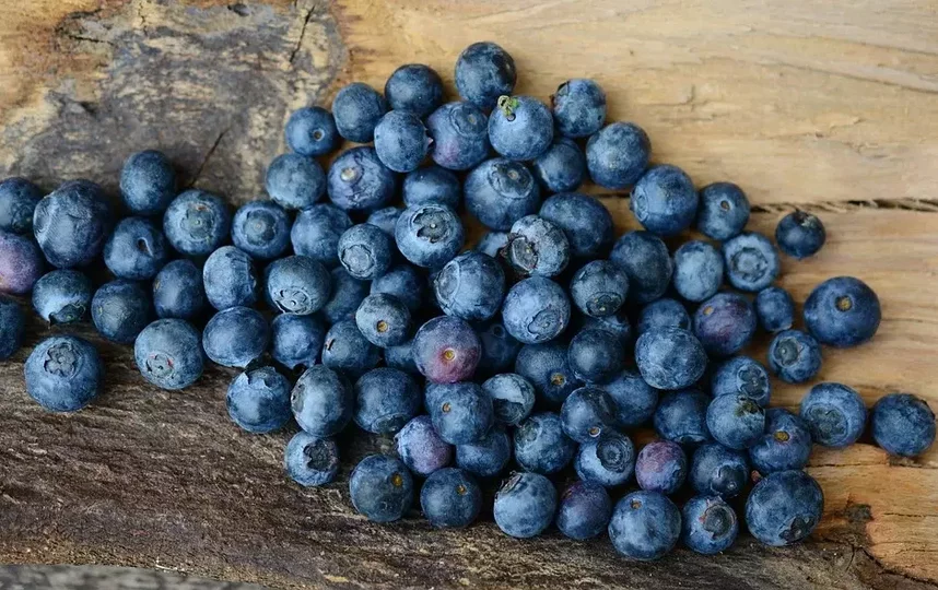 В большинстве фруктов и ягод содержится большое количество сахара. Фото Pixabay